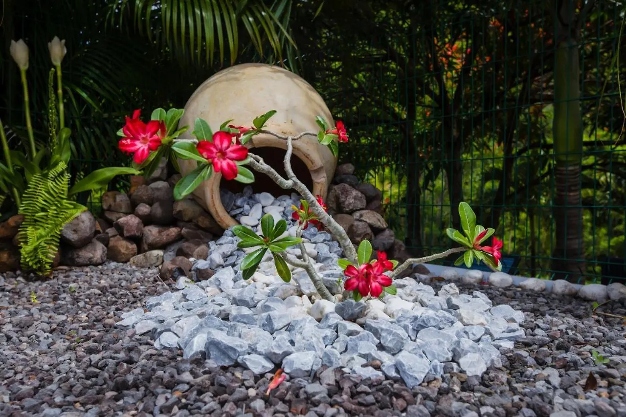 Nature Paradise Pool & Spa - Exceptional Secluded Luxury Location Le Diamant Villa