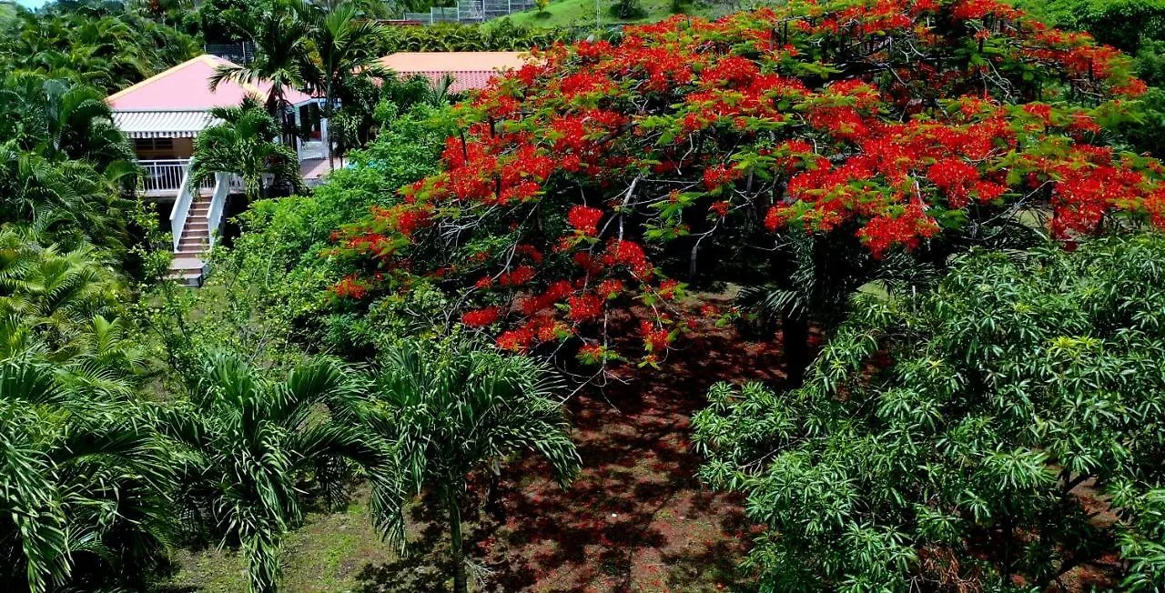 Nature Paradise Pool & Spa - Exceptional Secluded Luxury Location Le Diamant Martinique