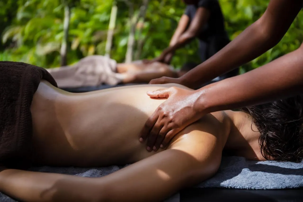 Nature Paradise Pool & Spa - Exceptional Secluded Luxury Location Le Diamant 0*,  Martinique