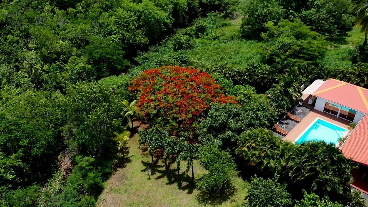 Villa Nature Paradise Pool & Spa - Exceptional Secluded Luxury Location Le Diamant Martinique