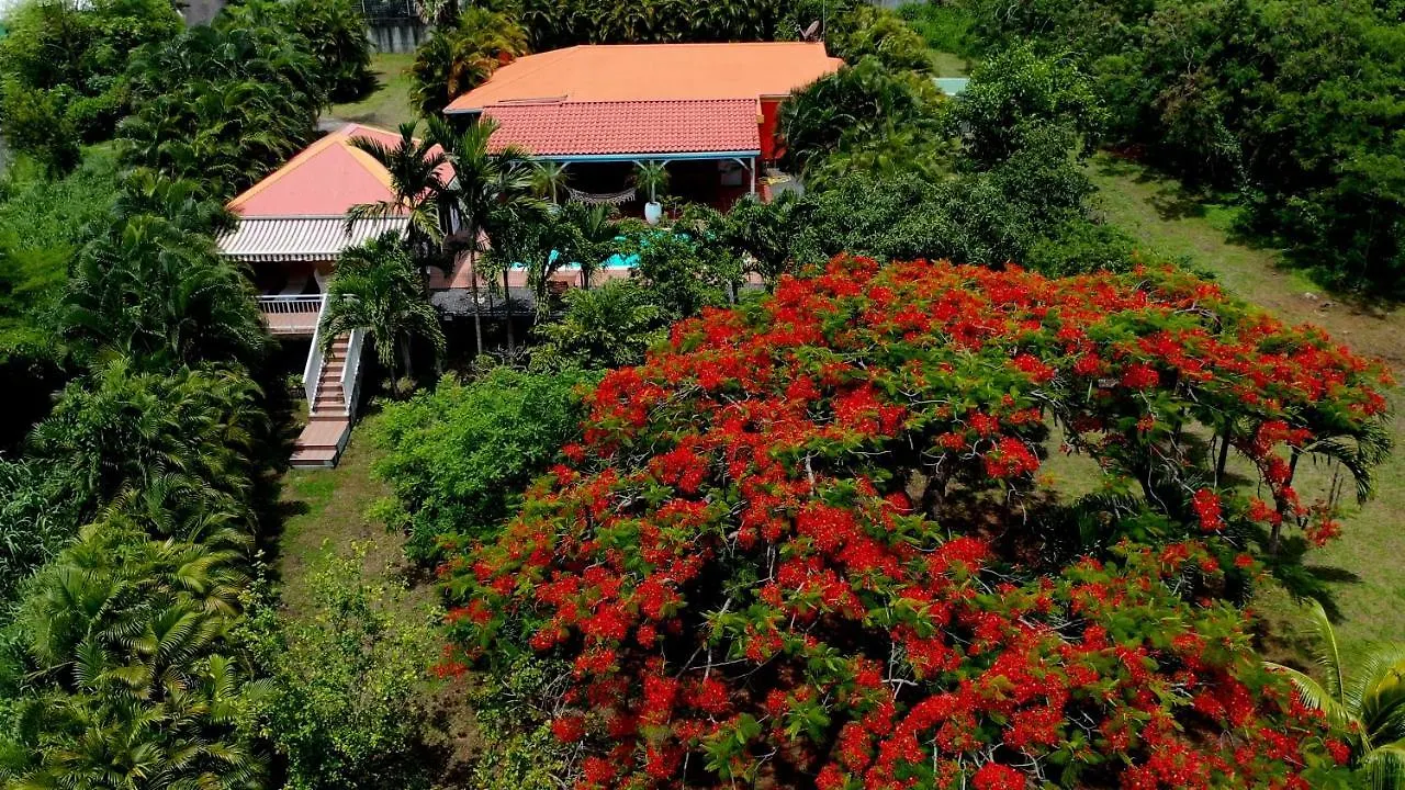Villa Nature Paradise Pool & Spa - Exceptional Secluded Luxury Location Le Diamant