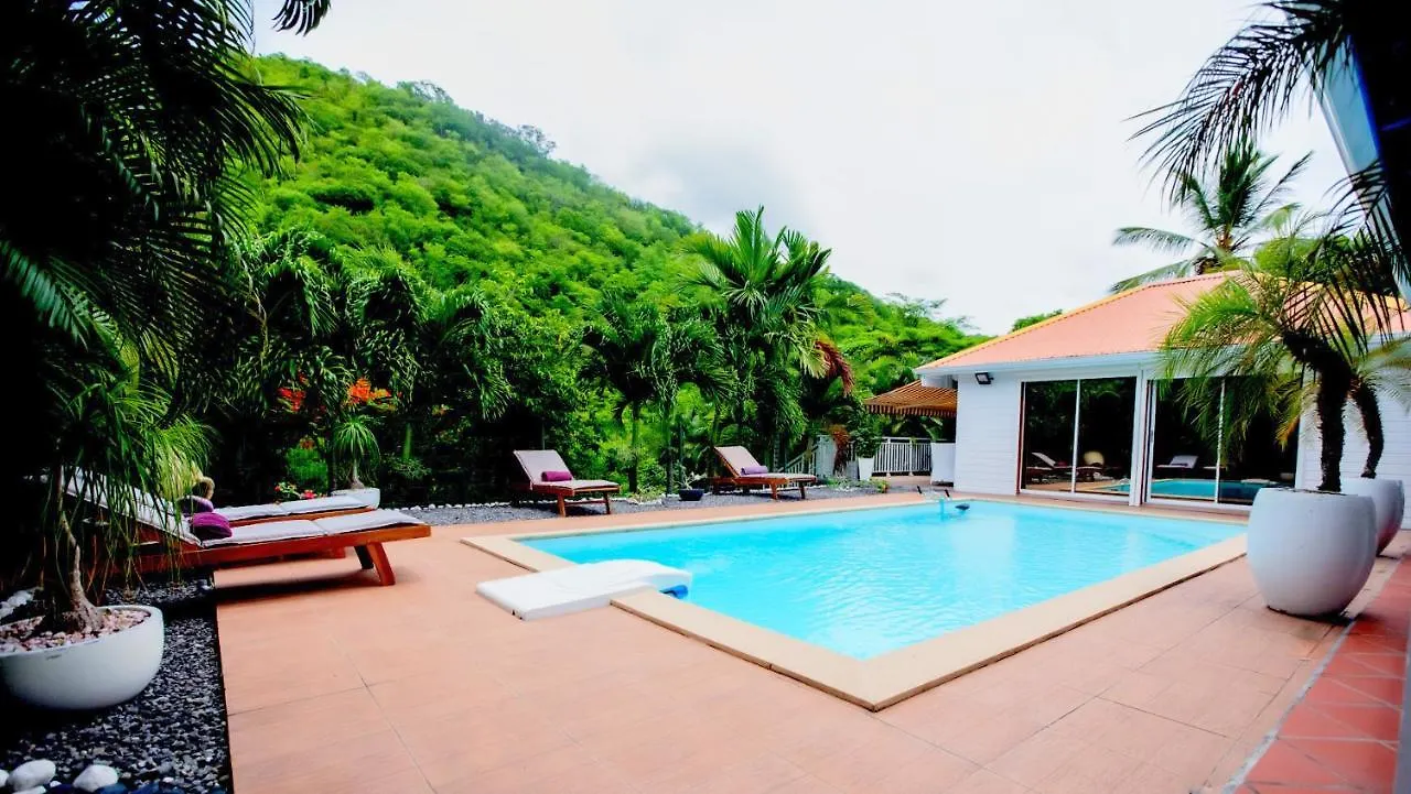 Nature Paradise Pool & Spa - Exceptional Secluded Luxury Location Le Diamant Villa