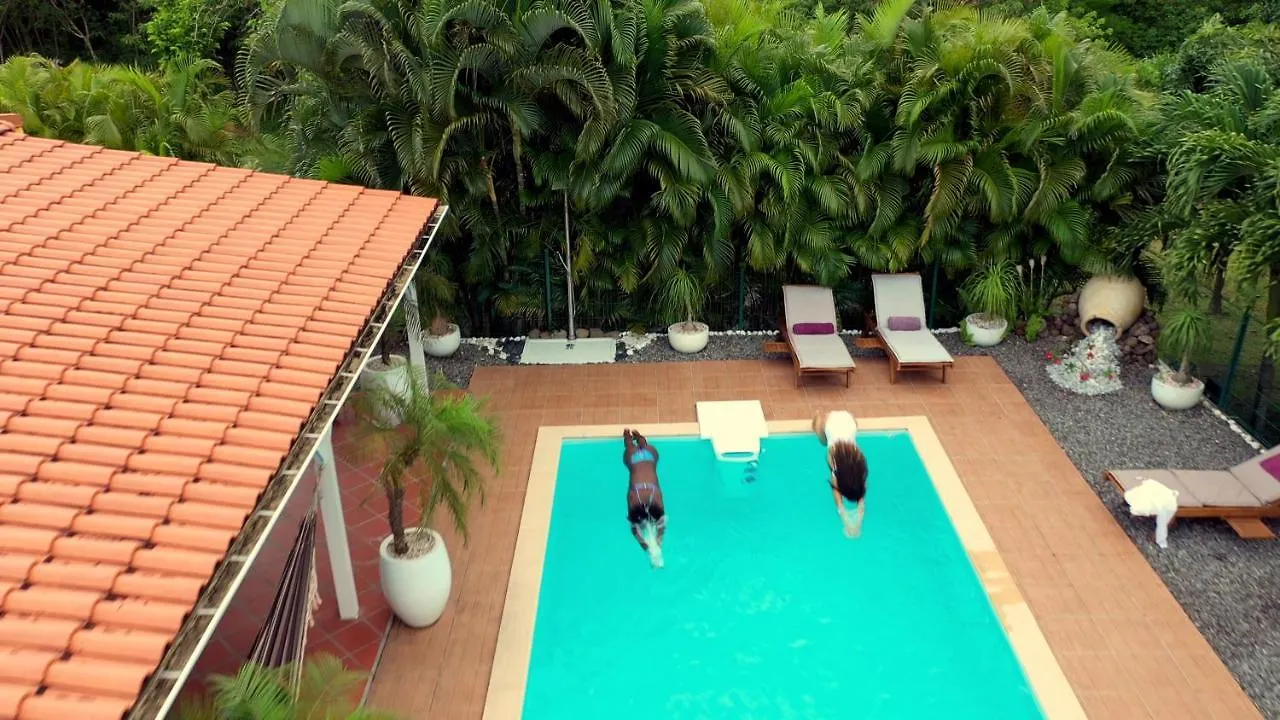 Nature Paradise Pool & Spa - Exceptional Secluded Luxury Location Le Diamant 0*,