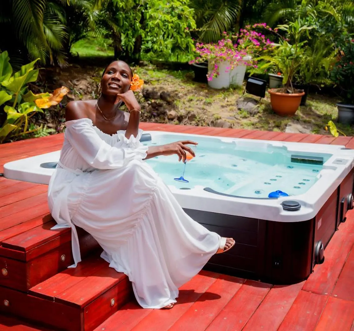 Nature Paradise Pool & Spa - Exceptional Secluded Luxury Location Le Diamant Villa