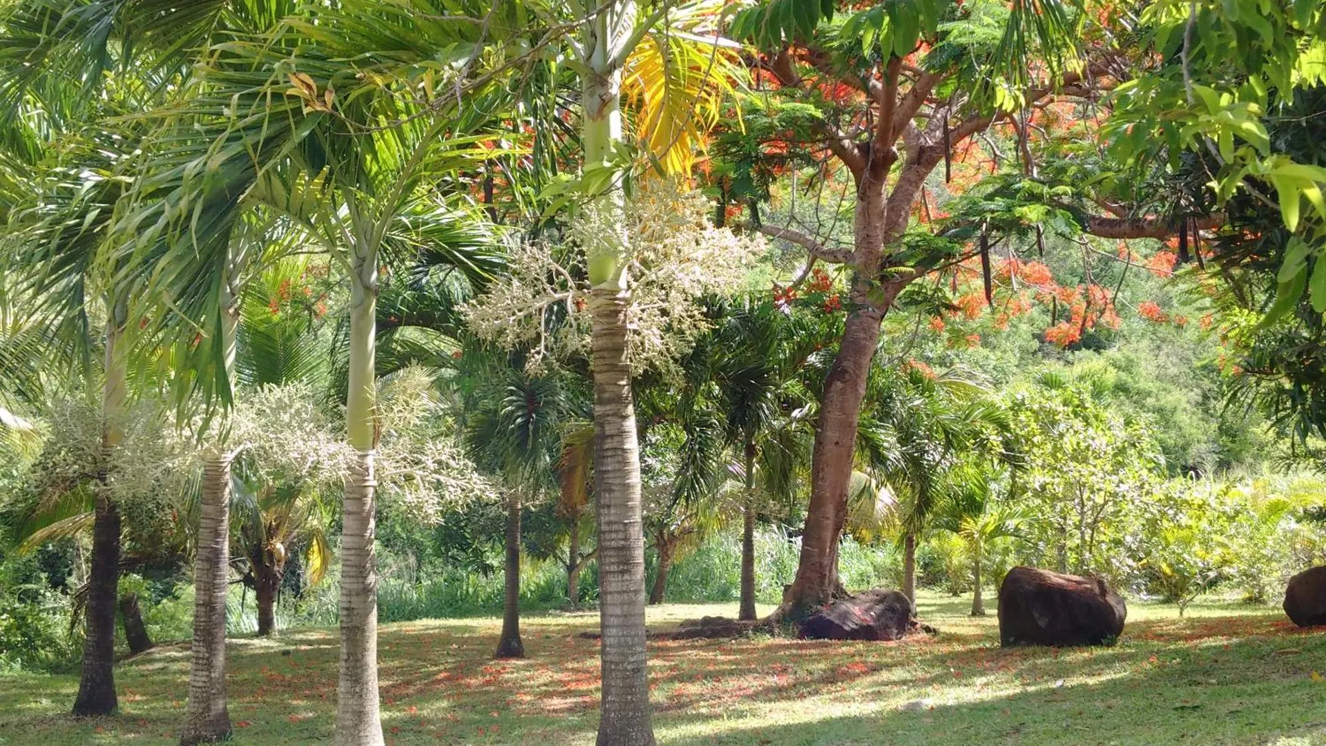 Villa Nature Paradise Pool & Spa - Exceptional Secluded Luxury Location Le Diamant